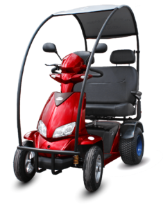 4 דברים שלא ידעתם על קלנועית