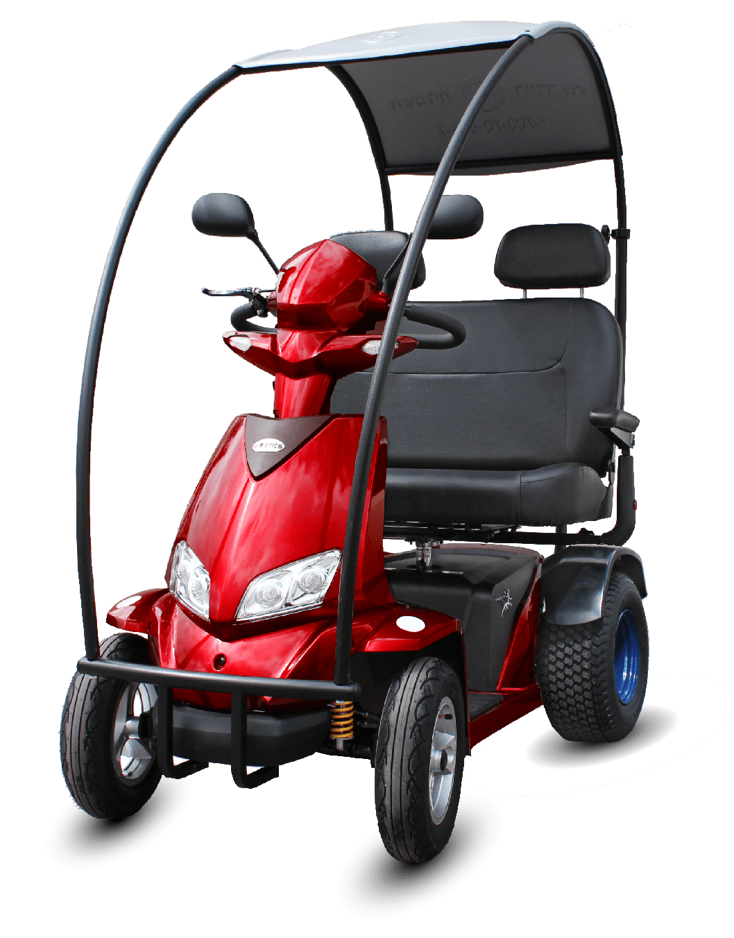 4 דברים שלא ידעתם על קלנועית